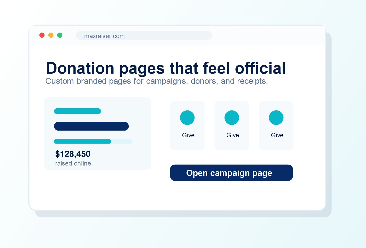 Branded online donation page preview